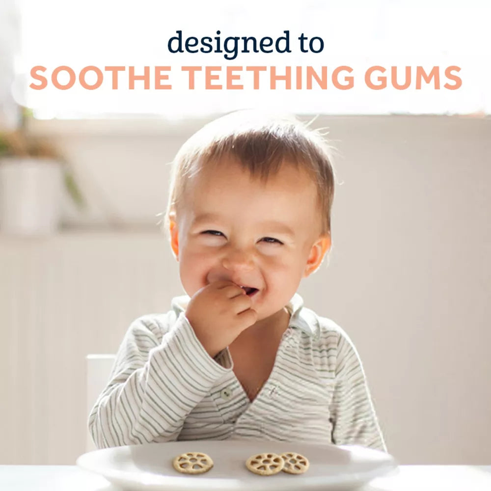 Gerber Snacks Teethers - Mango Raspberry